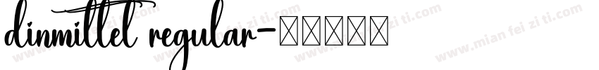 dinmittel regular字体转换